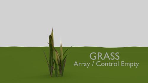 Grass preview image